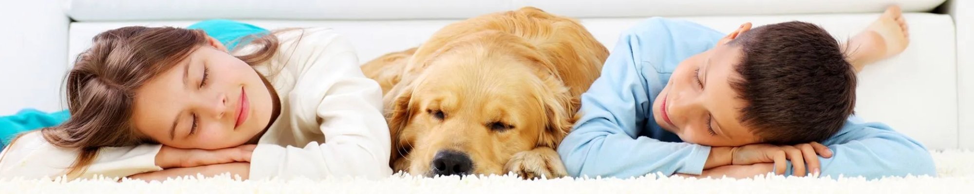 Kids laying on carpet with a dog