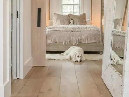 Carpet at Home Interiors 3