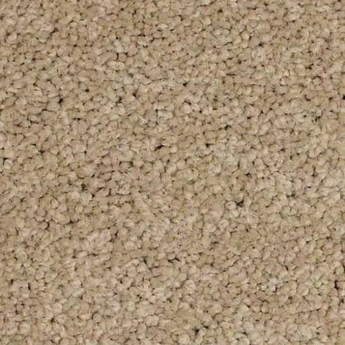 In-stock nylon carpet from {{ name }} in {{ location }}